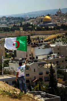 1d0b9a1ff3bbc5af5e83870e9cdb883e--hamza-palestine