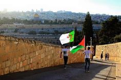 834e85a316f564a71da835d592a8b468--palestine