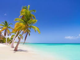 images (2)
